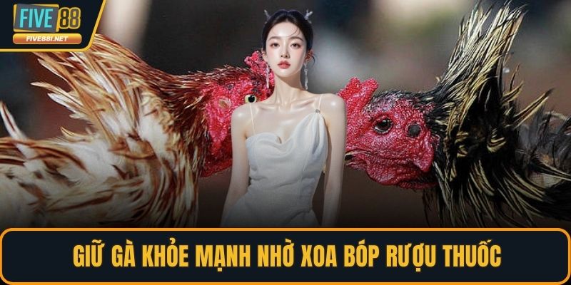 Giữ gà khỏe mạnh nhờ xoa bóp rượu thuốc